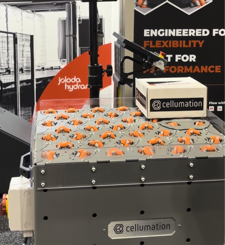 Flexible conveyor handling finished units